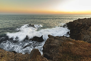 The California Current