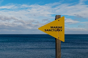 marine protected areas