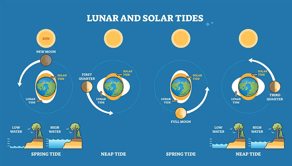 Oceanography Oceanography Explained