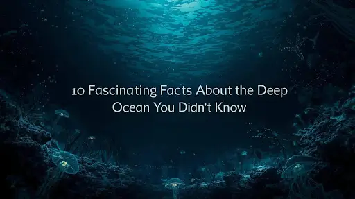 oceanography.com blog