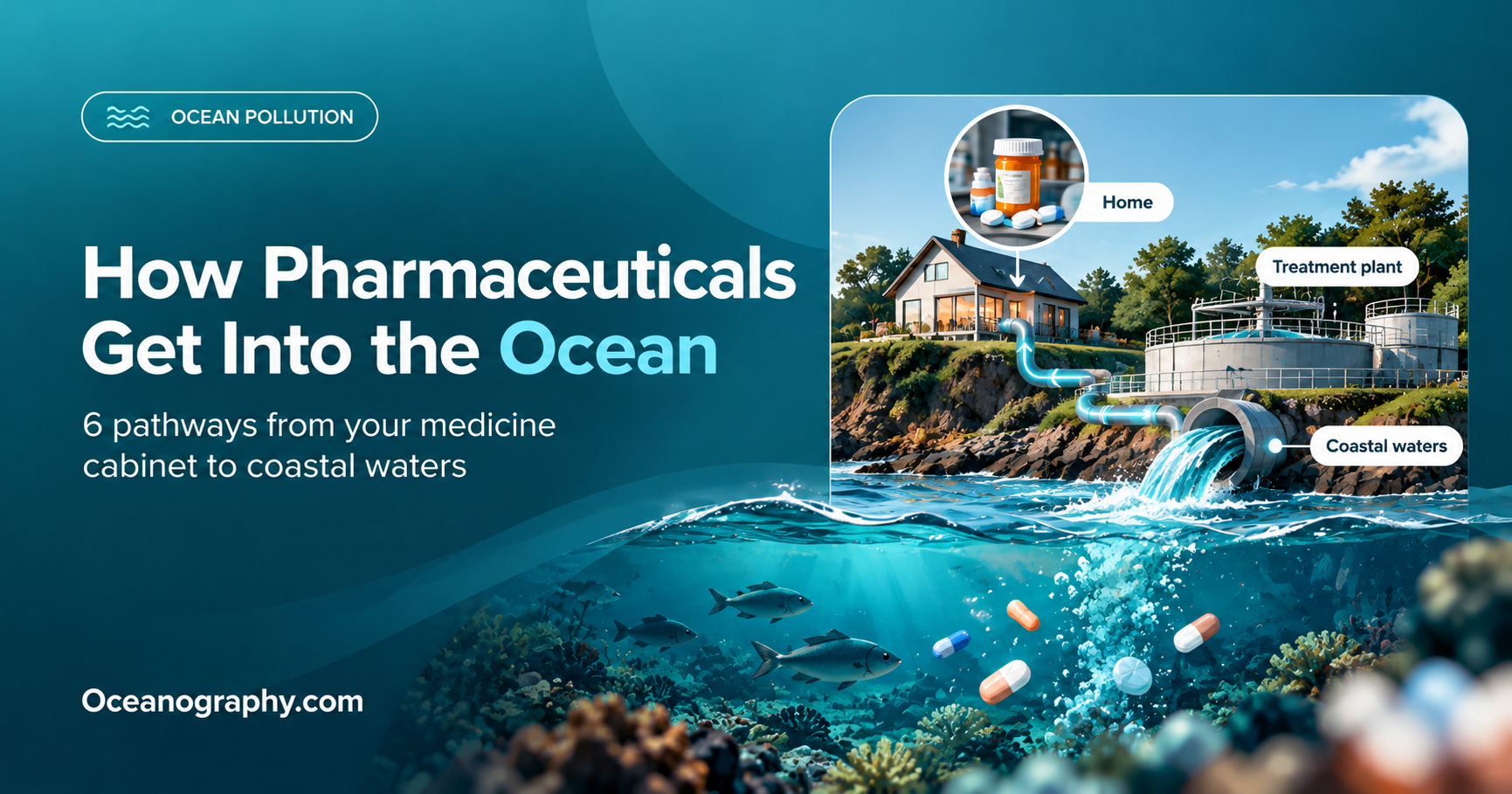 How Pharmaceuticals Get Into the Ocean: 6 Pathways Explained