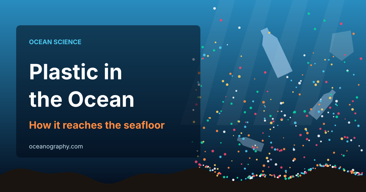 Plastic in the Ocean: How It Reaches the Seafloor